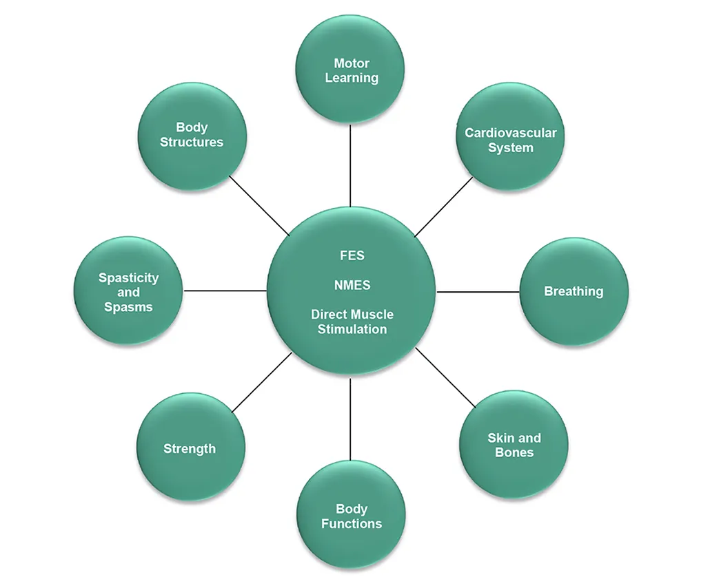 Electrical Stimulation (NMES/FES Non-ambulatory Muscle Stim) - SCIRE  Professional