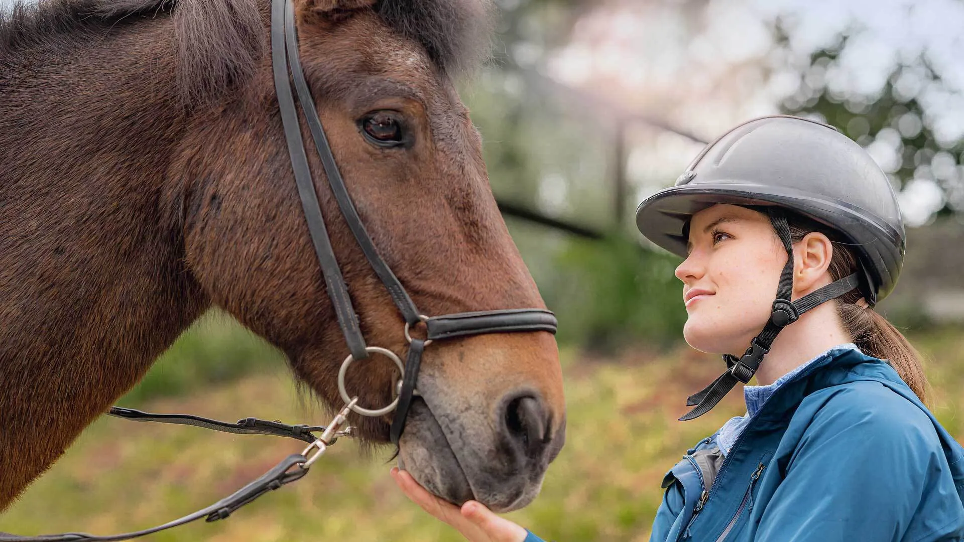 Schweizer Paraplegiker Zentrum Hippotherapie