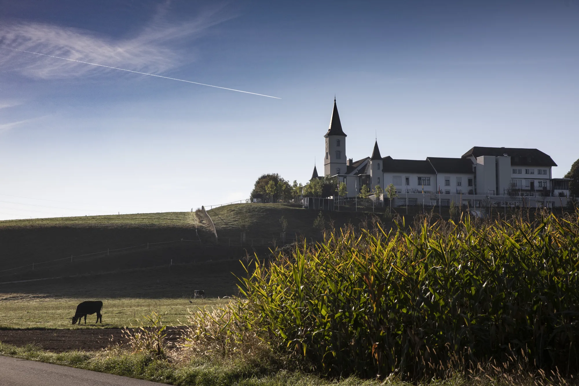 Ein offenes Haus in der Region Zofingen