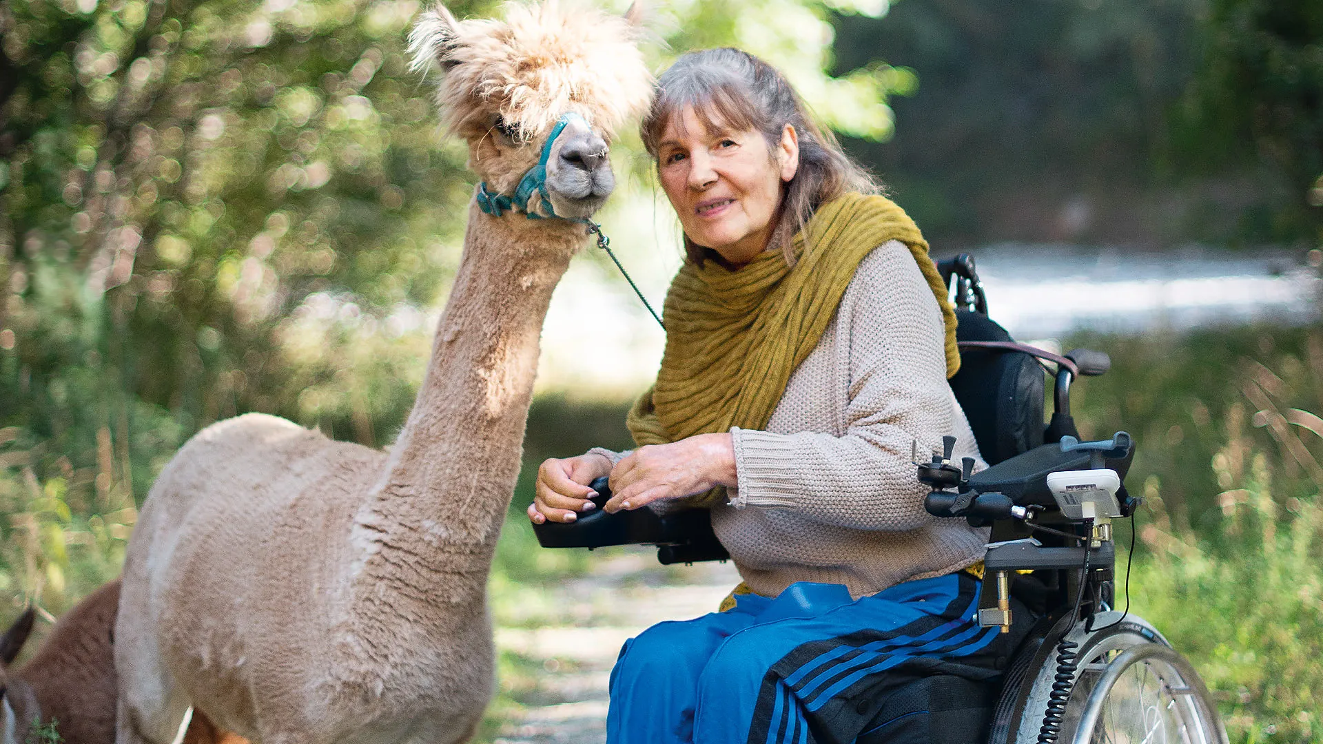 Manuela Ressouche mit einem Alpaka