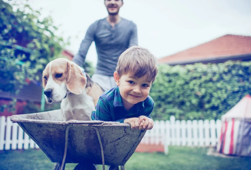 Chien, fils et père au jardin