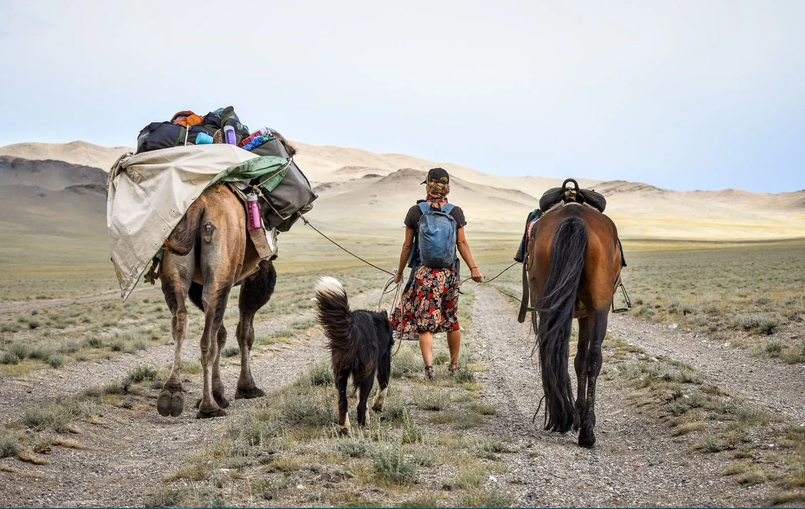 Frau mit Hund, vollbepacktem Kamel und Pferd in weiter Landschaft.