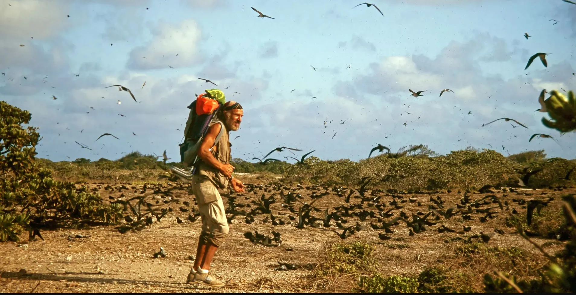 Explora - Für immer ausgestiegen: Mann mit Rucksack steht mitten in einem Voelschwarm in einer einsamen Landschaft.