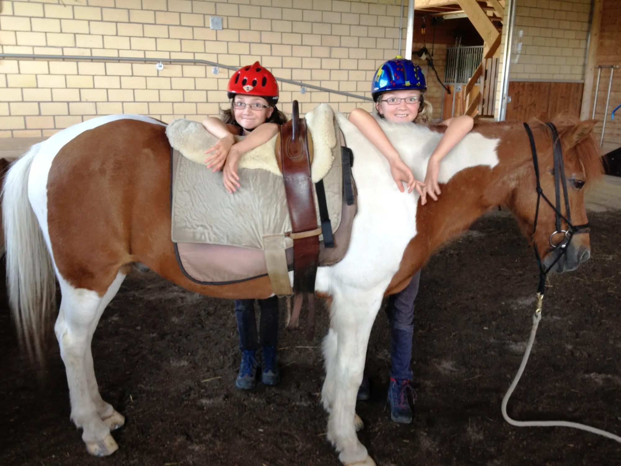 Heilpädagogisches Reiten im SPZ